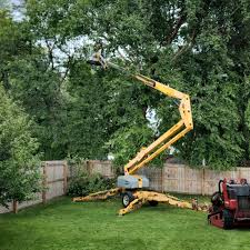 Best Aeration Services  in Audubon Park, KY